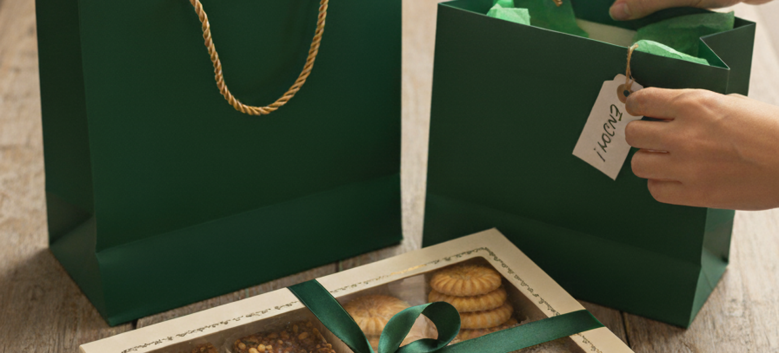 Gemini_Generated_Image_t3gom3t3gom3t3go